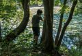 Gujn at edge of Rockery Pond.<br />July 12, 2014 - Audubon Ipswich River Wildlife Sanctuary, Topsfield, Massachusetts.
