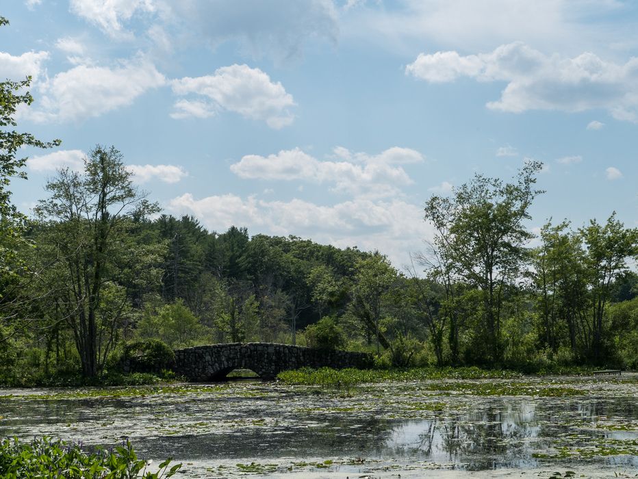 July 12, 2014 - Audubon Ipswich River Wildlife Sanctuary, Topsfield, Massachusetts.