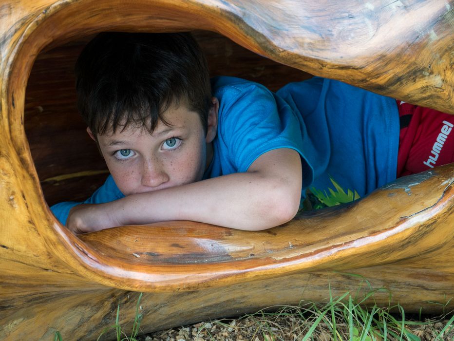 Marks inside a tree trunk in playground.<br />July 12, 2014 - Audubon Ipswich River Wildlife Sanctuary, Topsfield, Massachusetts.