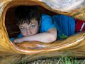 Marks inside a tree trunk in playground.<br />July 12, 2014 - Audubon Ipswich River Wildlife Sanctuary, Topsfield, Massachusetts.