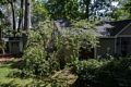 Broken tree after an overnight thunderstorm.<br />July 17, 2014 - Merrimac, Massachusett.