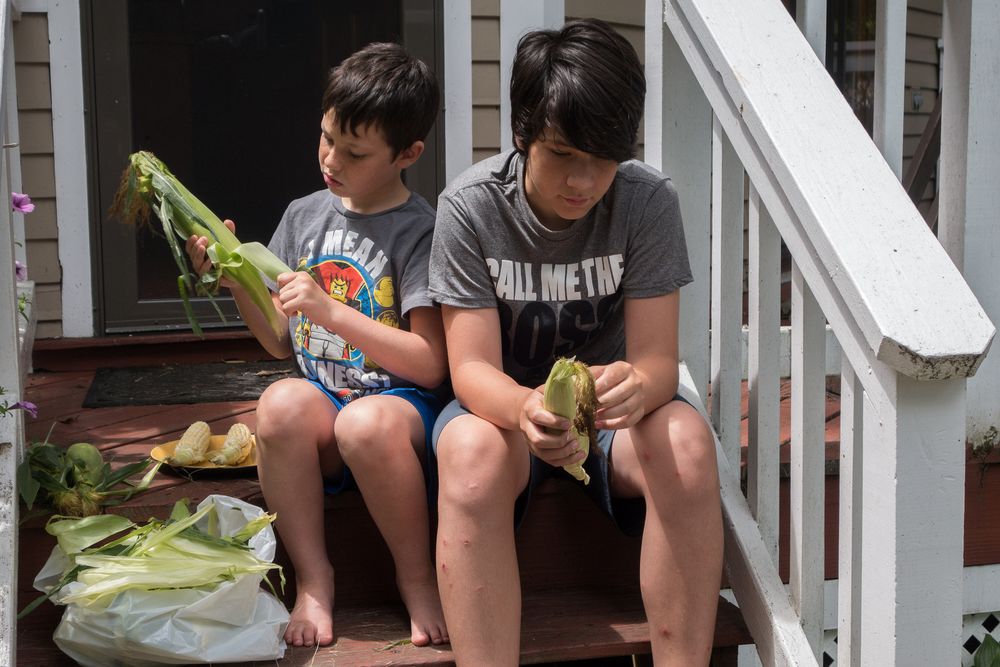 Marks and Gujn shucking corn.<br />July 17, 2014 - Merrimac, Massachusett.