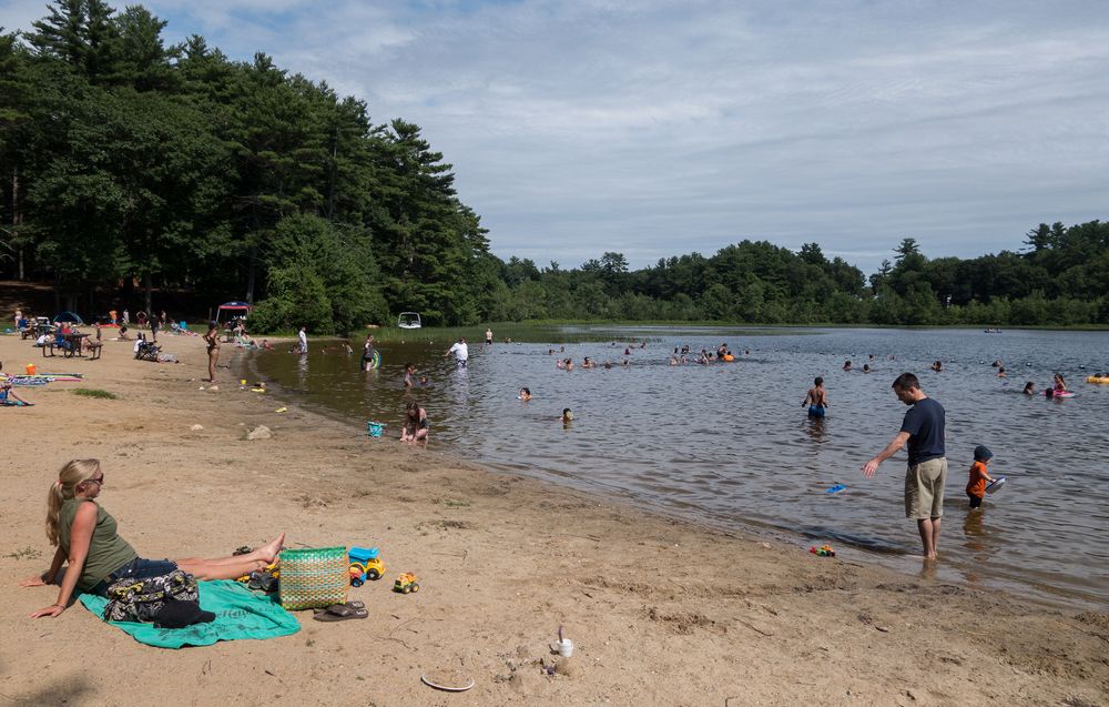 July 20, 2014 - Kingston State Park, Kingston, New Hampshire.