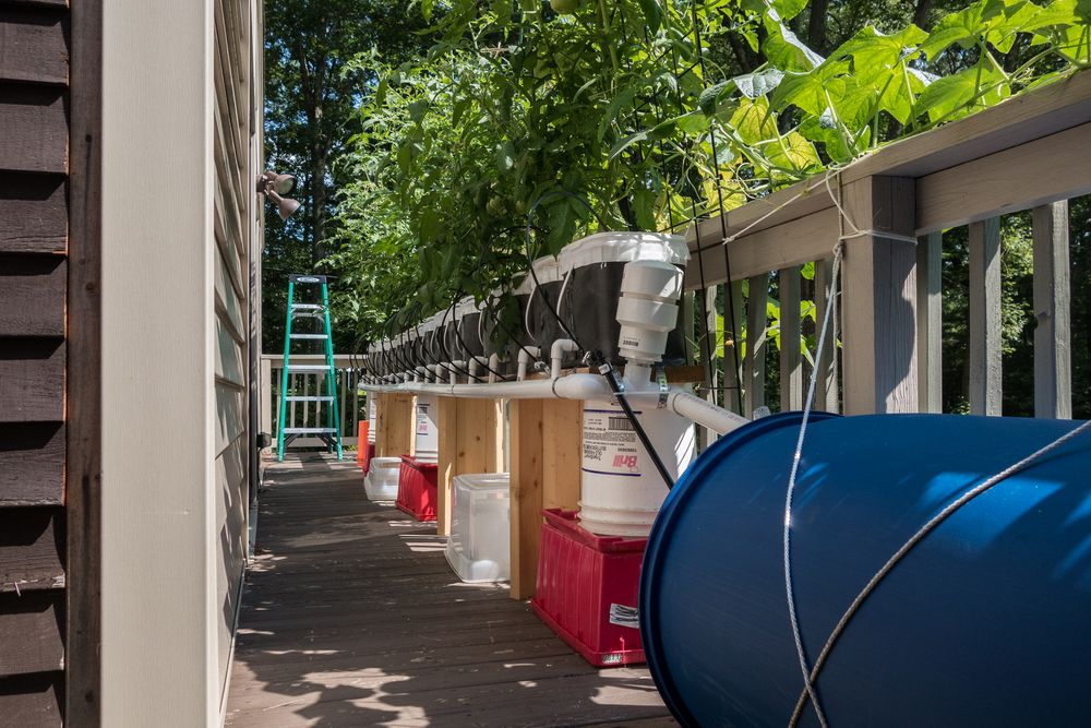 Hydroponic setup for vegetables.<br />July 22, 2014 - At Carl and Holly's in Mendon, Massachusetts