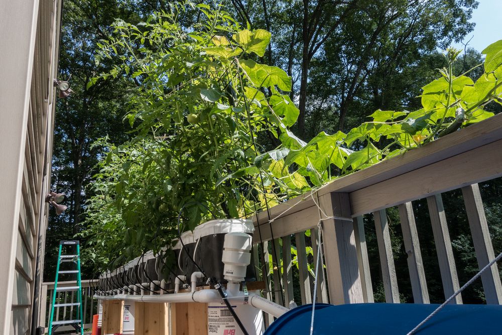 Hydroponic setup for vegetables.<br />July 22, 2014 - At Carl and Holly's in Mendon, Massachusetts