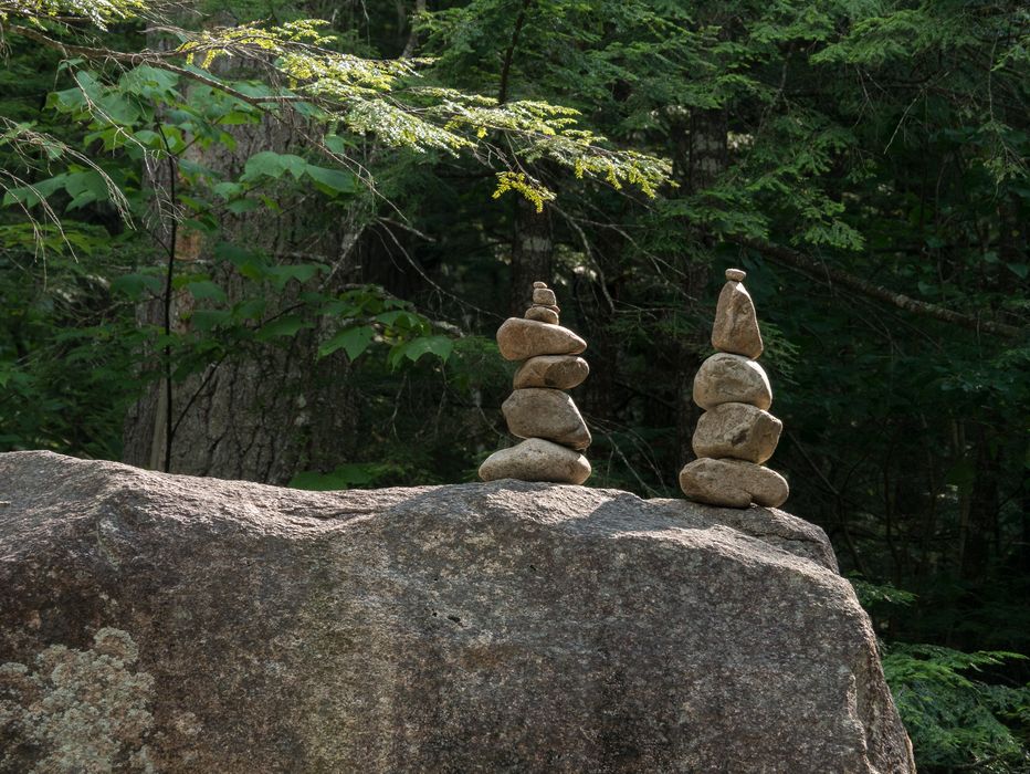 They are everywhere.<br />Diana's Baths along Lucy Brook.<br />July 23, 2014 - Bartlett, New Hampshire.