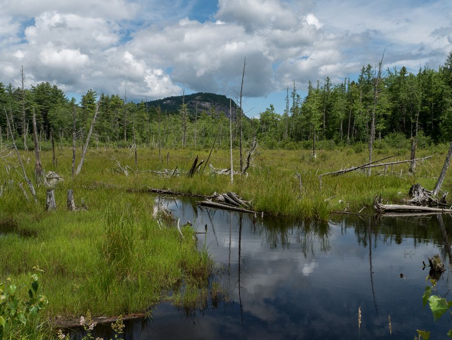 Moat Brook.<br />Hike to Thomson Falls.<br />July 24, 2014 - Conway, New Hampshire.
