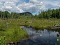 Moat Brook.<br />Hike to Thomson Falls.<br />July 24, 2014 - Conway, New Hampshire.