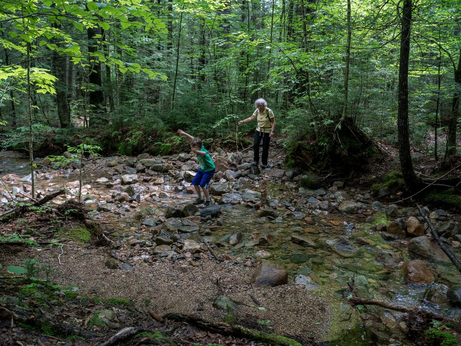 Joyce watching Matthew make it across the brook.<br />Hike to Thomson Falls.<br />July 24, 2014 - Hales Location, New Hampshire.