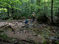 Joyce watching Matthew make it across the brook.<br />Hike to Thomson Falls.<br />July 24, 2014 - Hales Location, New Hampshire.