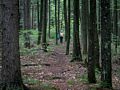 Matthew and Joyce on the trail.<br />Hike to Thomson Falls.<br />July 24, 2014 - Hales Location, New Hampshire.