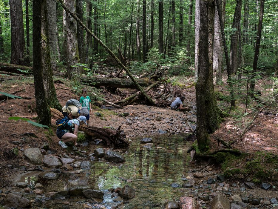 Deb, Joyce, Matthew, and Miranda exploring a brook along the treail (Moat Brook?).<br />Hike to Thomson Falls.<br />July 24, 2014 - Hales Location, New Hampshire.
