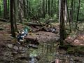 Deb, Joyce, Matthew, and Miranda exploring a brook along the treail (Moat Brook?).<br />Hike to Thomson Falls.<br />July 24, 2014 - Hales Location, New Hampshire.