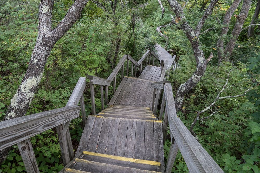 On the Dunes Walk.<br />Aug. 1, 2014 - Parker River National Wildlife Refuge.