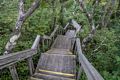 On the Dunes Walk.<br />Aug. 1, 2014 - Parker River National Wildlife Refuge.