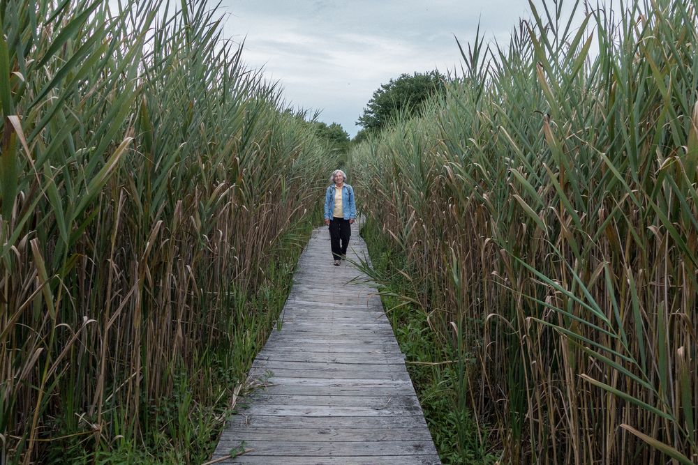 Joyce on the Marsh Walk.<br />Aug. 1, 2014 - Parker River National Wildlife Refuge.