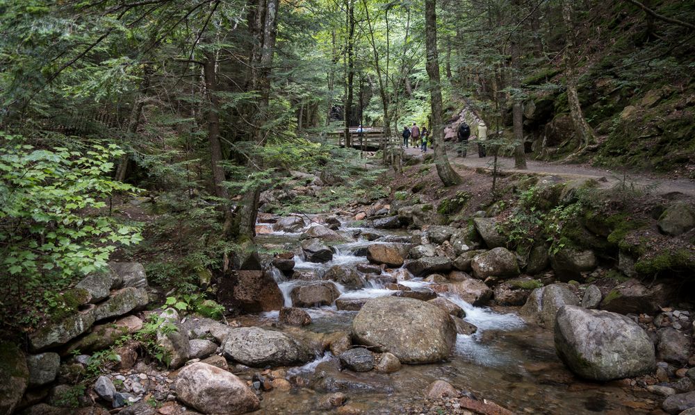 Flume Brook below the gorge.<br />Aug. 21 - 2014 - The Flume, Franconia Notch, New Hampshire.