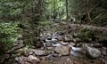 Flume Brook below the gorge.<br />Aug. 21 - 2014 - The Flume, Franconia Notch, New Hampshire.