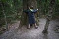 Matthew hugging a tree along Ridge Path.<br />Aug. 21 - 2014 - The Flume, Franconia Notch, New Hampshire.