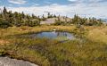 A small pond atop Firescrew.<br />Aug. 30, 2014 - Mt. Cardigan, New Hamphire.