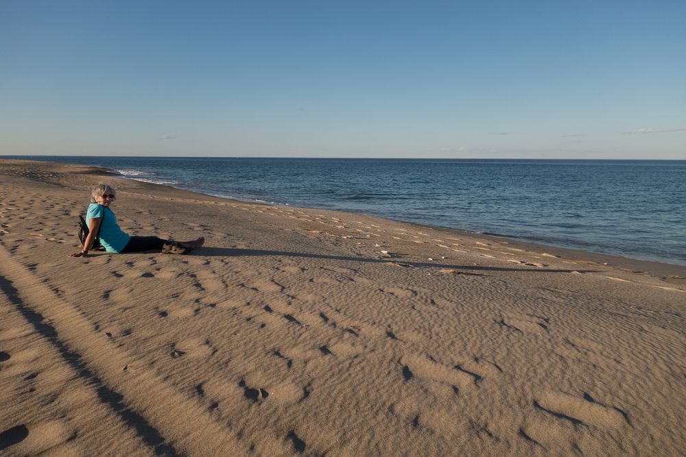 Joyce.<br />Sept. 3 - 2014 - Parker River National Wildlife Refuge, Plum Island, Massachusetts.