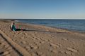 Joyce.<br />Sept. 3 - 2014 - Parker River National Wildlife Refuge, Plum Island, Massachusetts.