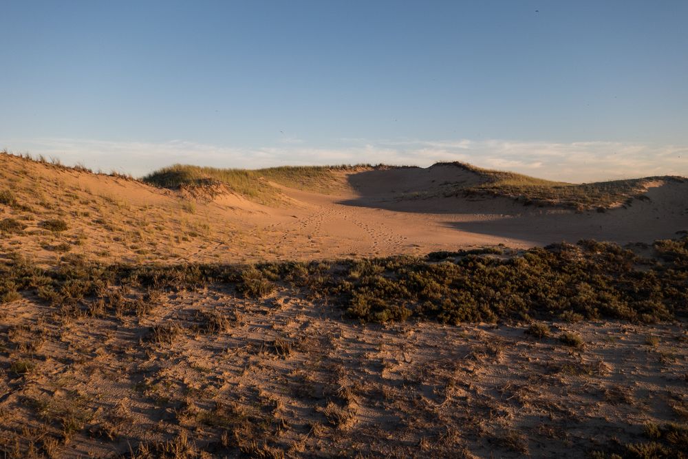 Dunes off boardwalk to parking lot #3 at sunset.<br />Sept. 3 - 2014 - Parker River National Wildlife Refuge, Plum Island, Massachusetts.