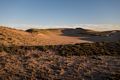 Dunes off boardwalk to parking lot #3 at sunset.<br />Sept. 3 - 2014 - Parker River National Wildlife Refuge, Plum Island, Massachusetts.