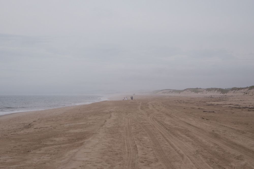 A walk with Joyce on a foggy afternoon.<br />Sept. 21, 2014 - Parker River National Wildlife Refuge, Plum Island, Massachusetts.