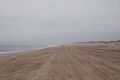 A walk with Joyce on a foggy afternoon.<br />Sept. 21, 2014 - Parker River National Wildlife Refuge, Plum Island, Massachusetts.