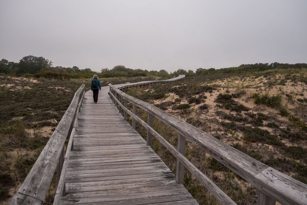 Joyce heading back to the car on boardwalk to lot # 3.<br />A walk with Joyce on a foggy afternoon.<br />Sept. 21, 2014 - Parker River National Wildlife Refuge, Plum Island, Massachusetts.