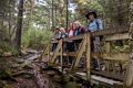 Ronnie, Baiba, Yoong, Joyce, and Bob on Cliff Bridge.<br />Hike via West Ridge Trail.<br />Oct. 2, 2014 - Mt. Cardigan, New Hampshire.