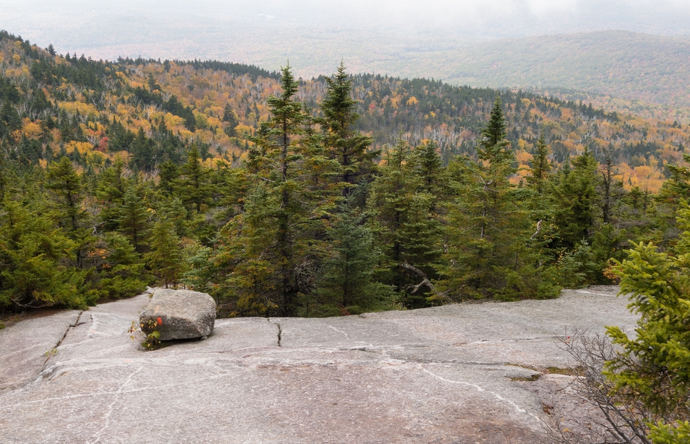 View along the trail (orange markers).<br />Hike via West Ridge Trail.<br />Oct. 2, 2014 - Mt. Cardigan, New Hampshire.