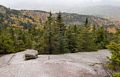 View along the trail (orange markers).<br />Hike via West Ridge Trail.<br />Oct. 2, 2014 - Mt. Cardigan, New Hampshire.