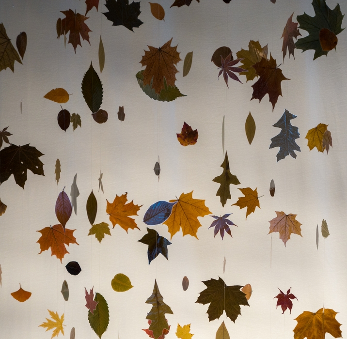 Joan Backes: Falling Leaves, 2014.<br />Oct. 4, 2014 - Peabody Essex Museum, Salem, Massachusetts.