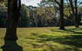 A walk with Joyce.<br />Oct 5, 2014 - Maudslay State Park, Newburyport, Massachusetts.