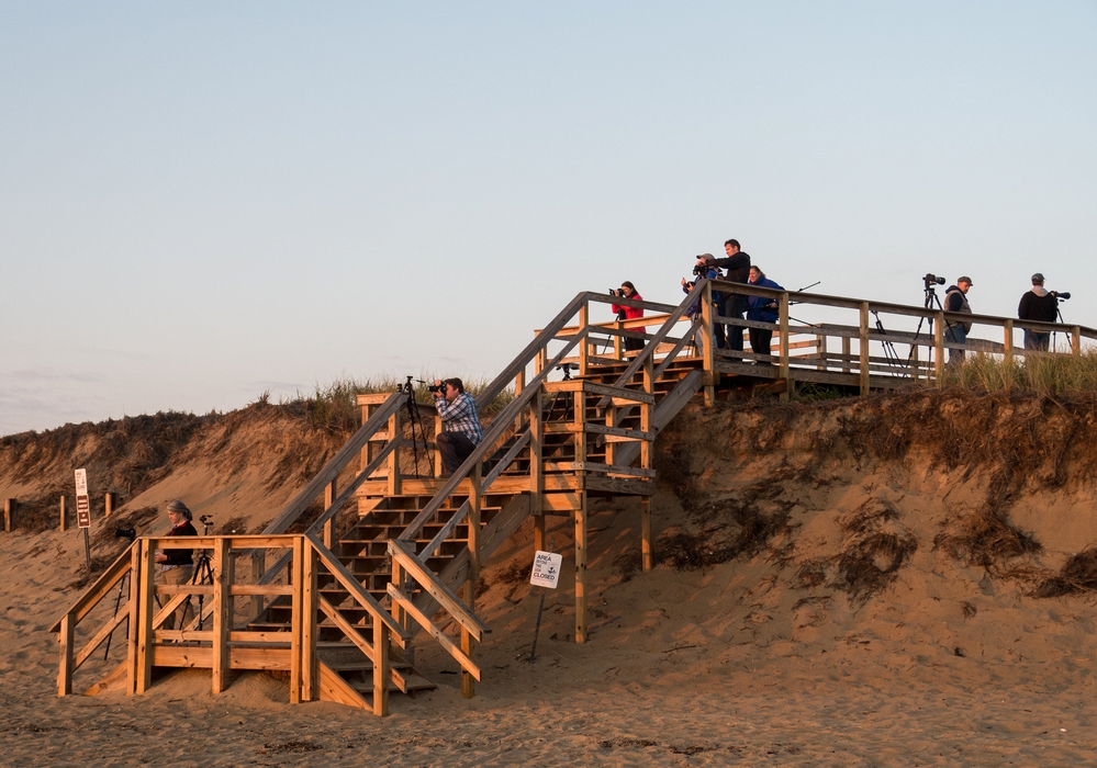 More paricipants.<br />Phabulous Photo Weekend sunrise shoot.<br />Oct. 18, 2014 - Palrker River National Wildlife Refuge, Plum Island, Massachusetts.