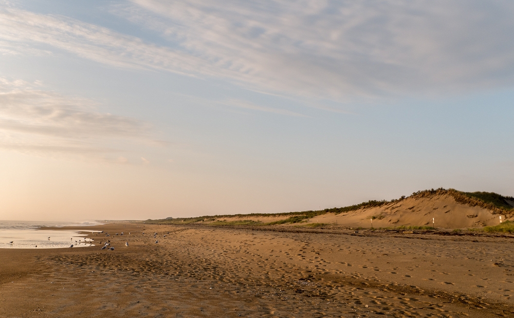 Phabulous Photo Weekend sunrise shoot.<br />Oct. 18, 2014 - Palrker River National Wildlife Refuge, Plum Island, Massachusetts.