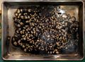We had some excitment in the kitchen.<br />A panful of almonds cought on fire in the oven and we called the fire department.<br />Oct 31, 2014 - At home in Merrimac, Massachusetts.