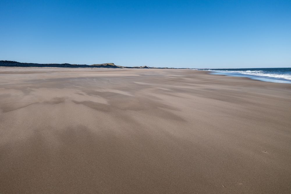 A walk with Joyce off parking lot 6.<br />Nov. 3, 2014 - Parker River National Wildlife Refuge, Plum Island, Massachusetts.