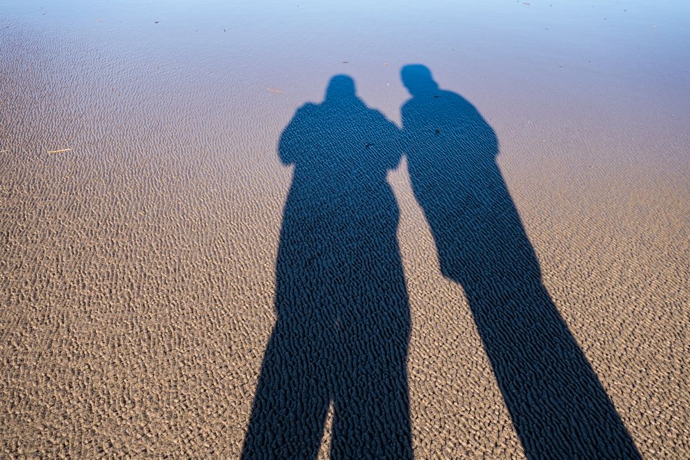 A walk with Joyce off parking lot 6.<br />Nov. 3, 2014 - Parker River National Wildlife Refuge, Plum Island, Massachusetts.
