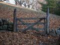 Nov. 23, 2014 - Maudslay State Park, Newburyport, Massachusetts.