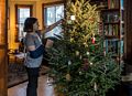 Miranda decorating our Christmas tree.<br />Dec. 14, 2014 - At home in Merrimac, Massachusetts.