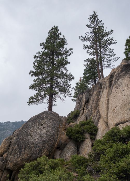 Somewhere near the eastern end of the highway.<br />July 30, 2014 - Highway CA-108, California.