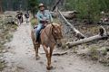 On trail near Reds Meadows Resort.<br />July 31, 2014 - Near Mammoth Lakes, California