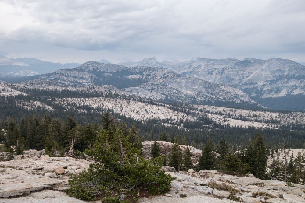 View from ridge above May Lake High Sierra Camp.<br />Aug. 3, 2014 - Yosemite National Park, California.