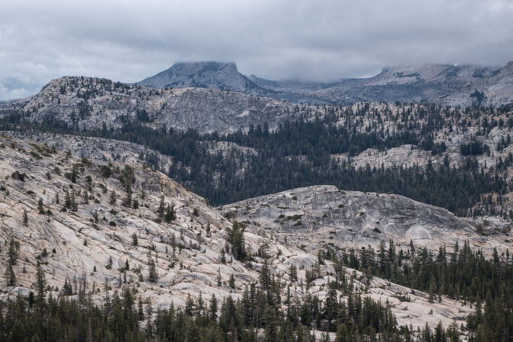 View from trail between May Like and Glen Aulin HSCs.<br />Aug. 4, 2014 - Yosemite National Park, California.
