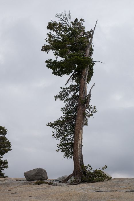 Aug. 4, 2014 - Olmsted Viewpoint, Yosemite National Park, California.
