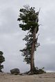 Aug. 4, 2014 - Olmsted Viewpoint, Yosemite National Park, California.