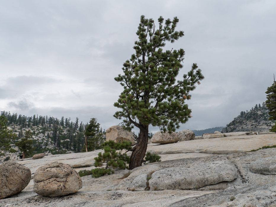 Aug. 4, 2014 - Olmsted Viewpoint, Yosemite National Park, California.